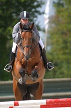 France, Normandie, calvados, Manche, auvers, concours de saut d'obstacles CSO, 
centre equestre Alain Hinard a Auvers pres de Carentan,