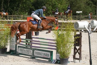 France, Basse Normandie, Manche, auvers, concours de saut d'obstacle, cso, alain hinard, sport equestre equitation, cheval selle francais,