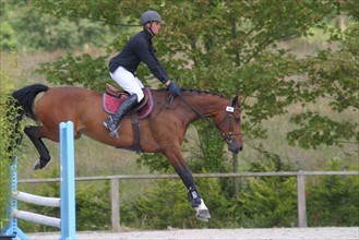 concours de saut d'obstacles 
centre equestre Alain Hinard a Auvers pres de Carentan (50)