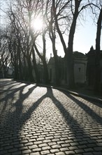 France, tomb