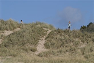 France, Basse Normandie, Manche, Cotentin, cap de la hague, anse de sciotot, dunes, littoral, sable, promeneurs, randonnee,