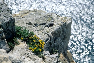 France, Bretagne, Finistere, presqu'ile de crozon, camaret, pointe de pen hir, rocher, effet de lumiere sur l'eau,