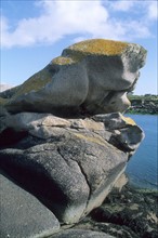 France, Bretagne, Finistere nord, cotes des abers, lanildut rocher du crapaud,