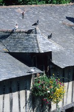 France, Bretagne, Morbihan, Vannes, golfe du Morbihan, detail des anciens lavoirs, lucarnes, ardoise, fleurs,