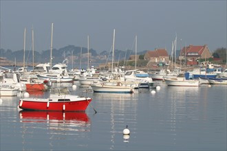 France, Bretagne, Cotes d'Armor, cote de granit rose, ploumanach, port de la Clarte, ar sklerder, bateaux de plaisance