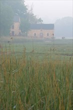 France, Bretagne, Cotes d'Armor, vallee de la Rance, la vicomte sur rance, moulin du prat, moulin a maree, brume, herbes,