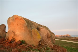 France, Bretagne, Cotes d'Armor, cote de granit rose, Tregastel, rocher, ile Renote