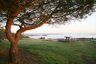 France, Bretagne, Cotes d'Armor, baie de Paimpol, cote du goelo, depuis les hauteurs de saint rion pres de la chapelle ste barbe, panorama avec vue sur la pointe de guilben