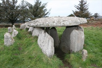 France, Bretagne, Cotes d'Armor, cote de granit rose Pleumeur-Bodou, ile grande, allee couverte, megalithes, dolmen,
