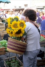 France, Bretagne, Cotes d'Armor, Paimpol, marche, femme avec un bouquet de tournesols dans son panier,
