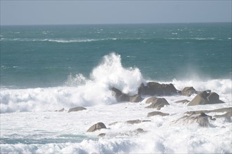 France, Bretagne, Finistere nord, pays du leon, ile de Batz, face a roscoff, cote ouest, vagues s'ecrasant sur les rochers, forte houle, ecume, tempete,