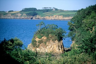 France, Bretagne, Finistere sud, Douarnenez, chemin des plomarc'h, sentier littoral, vegetation au sommet d'un rocher,