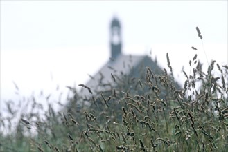 France, Bretagne, Finistere sud, Cap Sizun, pointe du van, chapelle saint they, herbes hautes,