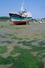 France, Bretagne, Finistere nord, cotes des abers, le conquet, port, bateaux de peche, chalutier, maree basse,