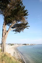 France, Bretagne, Finistere Sud, Cornouaille, Concarneau, promenade a partir de la plage des Sables Blancs sur le sentier des douaniers