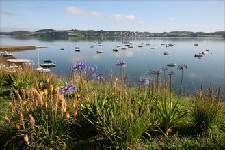 Landevennec (Bretagne)