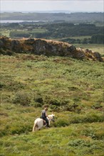 France, Bretagne, Finistere, monts d'arree, au sommet du roc'h trevezel, point culminant a 364 metres, rochers, paysage, randonnee a cheval, cavalier, lande,