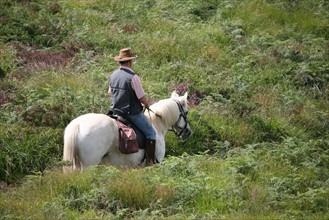 France, Bretagne, Finistere, monts d'arree, paysage, rochers, lande sauvage, randonnee equestre, cavalier, au sommet du roc'h trevezel