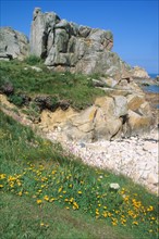 Ile de Bréhat (Bretagne)