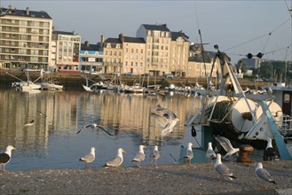 France, Basse Normandie, Manche, Cotentin, Cherbourg, ambiance chalutiers et goelands, port de peche, retour de peche,