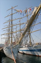 France, Basse Normandie, Manche, Cotentin, Cherbourg, rade, tall ships race 2005, grands voiliers, course, mir et dar mlodziezy