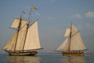 France, Basse Normandie, Manche, Cotentin, Cherbourg, rade, tall ships race 2005, grands voiliers, course, pride of baltimore, usa, et le renard, france,