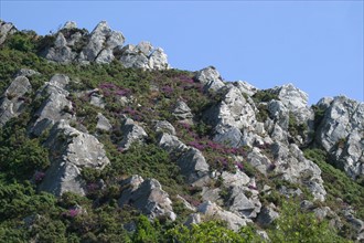 France, Basse Normandie, Manche, Cotentin, Cherbourg, sommet de la montagne du Roule, vers le fort du roule, pierres,