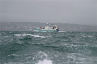 France, Basse Normandie, Manche, Cotentin, Cherbourg, grande rade bateau de pech naviguant dans le rade, mauvais temps, tempete, houle