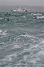 France, Basse Normandie, Manche, Cotentin, Cherbourg, grande rade bateau de pech naviguant dans le rade, mauvais temps, tempete, houle