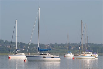 France, Basse Normandie, Manche, regneville sur mer, havre de regneville, bateaux voiliers, maree haute, 
face a la pointe d'Agon,