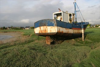 France, Basse Normandie, Manche, regneville sur mer, havre de regneville, maree basse, sable, bateaux echoues, vieux chalutier, herbe,