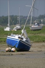 France, Basse Normandie, Manche, pays de coutances, paysage, panorama, pointe d'Agon, bateaux echoues a maree basse sur la greve, voiliers, sable,