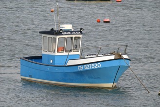 France, Basse Normandie, Manche, Cotentin, Cherbourg, grande rade est
port des flamands, petit bateau de peche,