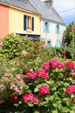 France, Bretagne, Morbihan, ile de groix, le bourg, loctudy, maisons colorees, fleurs,