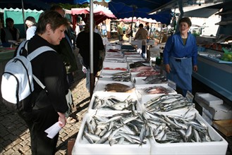 France, Basse Normandie, orne, laigle, marche du mardi,