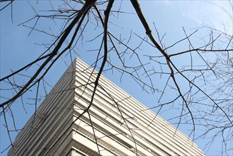 France, Paris 14e, Montparnasse, rue du Commandant Mouchotte, immeuble a balcons, architecture, fenetres, arbre en hiver, branches, l'arbre et la ville,