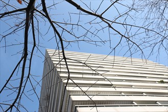 France, Paris 14e, Montparnasse, rue du Commandant Mouchotte, immeuble a balcons, architecture, fenetres, arbre en hiver, branches, l'arbre et la ville,