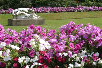 France, Haute Normandie, Seine Maritime, Rouen, rive gauche, jardin des plantes, fleurs, nature, jardin public, pelouse,