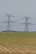 France, Haute Normandie, Seine Maritime, pays de Caux, Penly, pylones, lignes haute tension au depart de la centrale electronucleaire de Penly, energie, environnement, developpement durable,