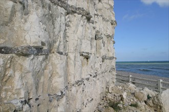 France, Haute Normandie, Seine Maritime, pays de Caux, veulettes sur mer, plage de galets et falaises, details de silex dans le calcaire, couches de silex,
