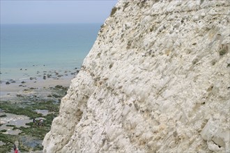 France, Haute Normandie, Seine Maritime, pays de Caux maritime, Sotteville-sur-Mer, valleuse, detail de falaise, maree basse,