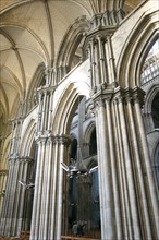 France, Haute Normandie, Seine Maritime, Rouen, cathedrale Notre-Dame, art gothique, nef, voutes, 
collateraux, piliers, colonnes,