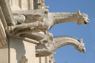 France, Haute Normandie, Seine Maritime, Rouen, palais de justice, tribunal, institution, monument historique restaure en 2007, gargouilles au role purement decoratif de l'aile ouest sur la rue aux ju...