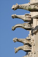 France, Haute Normandie, Seine Maritime, Rouen, palais de justice, tribunal, institution, monument historique restaure en 2007, gargouilles au role purement decoratif de l'aile ouest sur la rue aux ju...