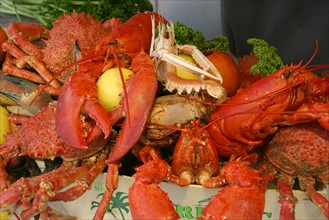 France, Haute Normandie, Seine Maritime, Le Treport, plateau de fruits de mer, crustaces, jetee, digue, restaurant Le Homard bleu
45 quai Francois 1er,