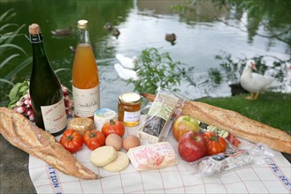 France, Haute Normandie, Seine Maritime, pays du caux maritime, amfreville les champs, ferme au fil des saisons, produits locaux pour un pique nique, gastronomie,