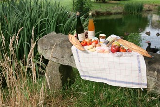 France, Haute Normandie, Seine Maritime, pays du caux maritime, amfreville les champs, ferme au fil des saisons, produits locaux pour un pique nique, gastronomie,