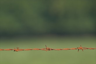 France, barbed wire