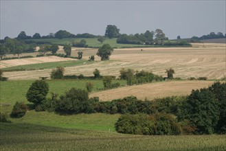 France, Haute Normandie, Seine Maritime, pays de bray, paysage des environs de gournay, champs, panorama, agriculture,