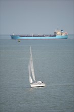 France, Haute Normandie, au large de la cote d'albatre, mer Manche, cargo en provenance du havre et petit voilier, bateau de plaisance,